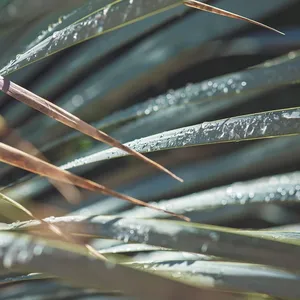 Glas reiniging