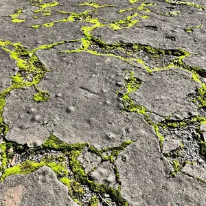 Beton coating