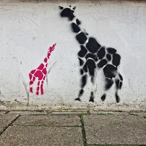Anti-graffiti impregneer