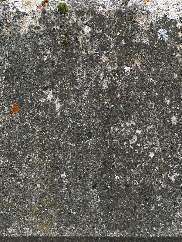 croncrete-hardner
